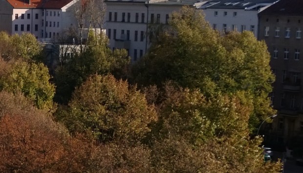 Beim Lumia 1020 sind dank der geringeren Schärfe noch etwas mehr Details erkennbar. (Bild: Tobias Költzsch/Golem.de)